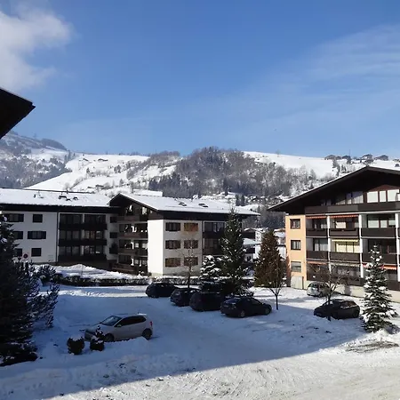 Apartment Schwarzenbacher *